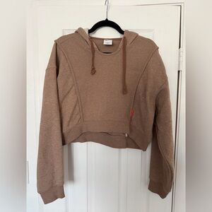Nike Cropped Hoodie in Taupe Brown